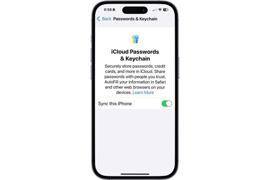 icloud passwords & Keychain iPhone displaying the iCloud Passwords & Keychain setting.