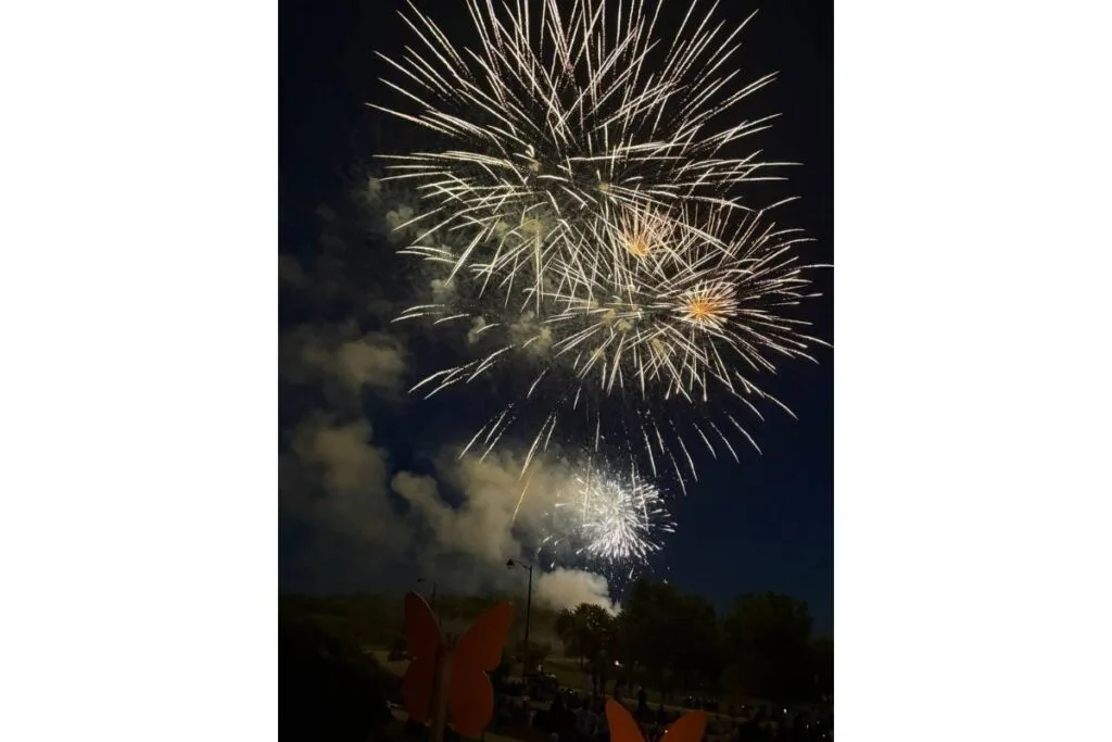 photo of fireworks showing an example of how to take a good photo on iphone using low light.