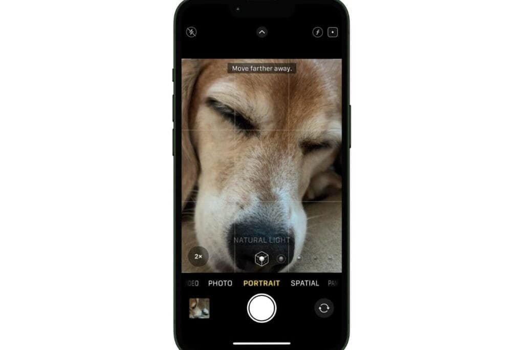 How to take a good photo on iPhone using Portrait Mode 1 iPhone screen showing portrait mode with text that states to move further as an example of step 1 on how to take a good photo on iphone.