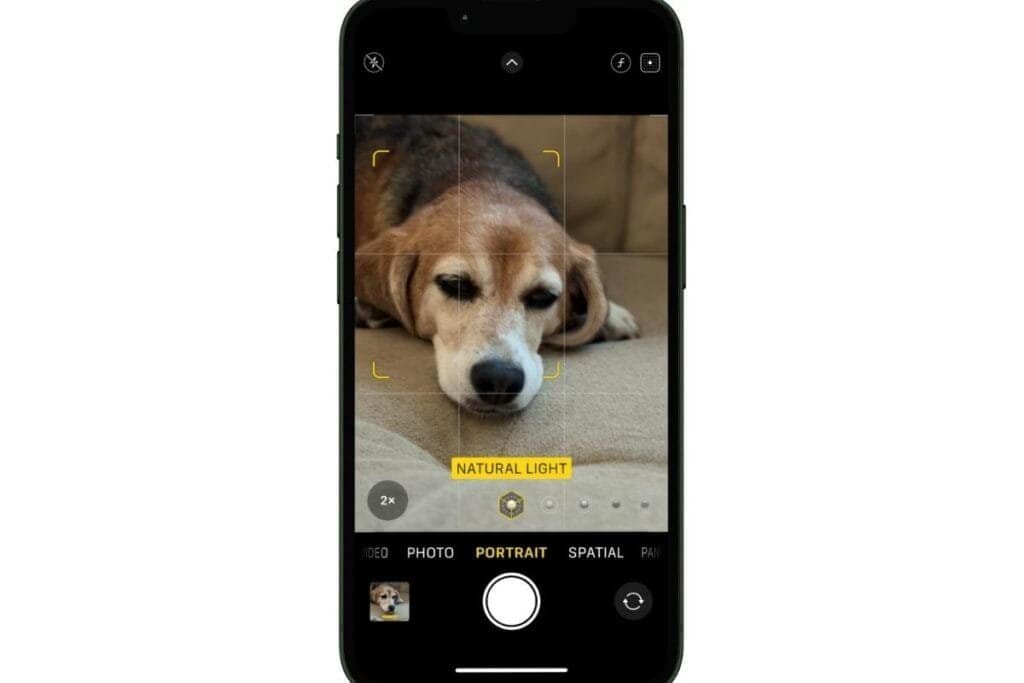 How to take a good photo on iPhone using Portrait Mode 2 & 3 iPhone screen showing portrait mode with text that states to Natural Light as an example of step 2 and 3 on how to take a good photo on iphone.