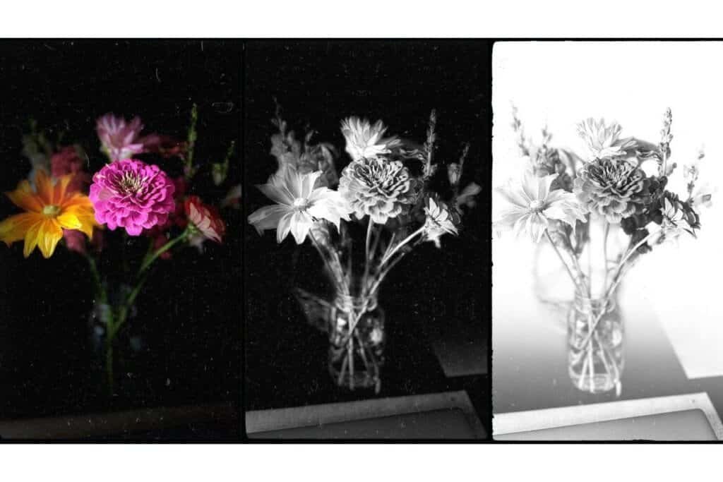 Stage Light, Stage Light Mono and High-Key Light Mono Three different images of a bouquet of flower using Stage Light, Stage Light Mono and High-Key Light Mono lighting options on iPhone when using portrait mode as an example of how to take a good photo on iPhone.