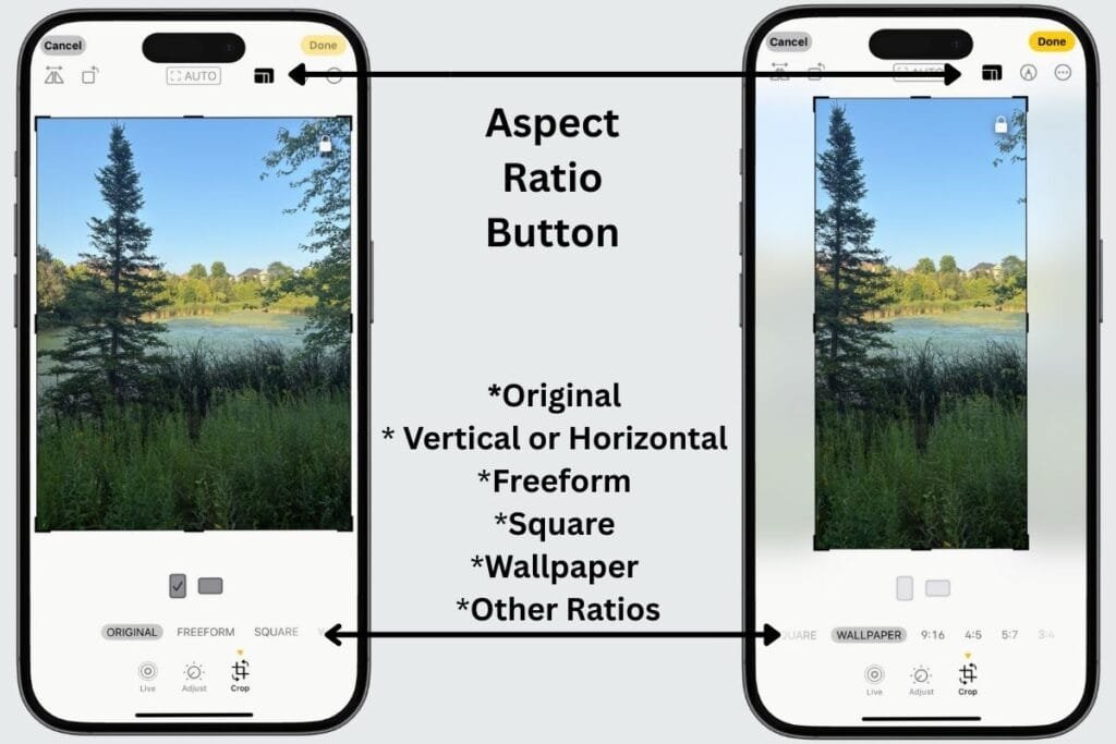 Aspect Ratio Button