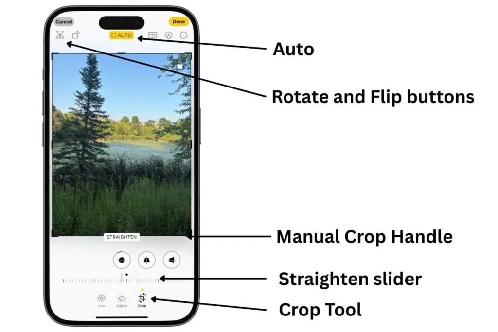 iPhone screen showing the crop tool with text overlay showing where each option is located on the screen.