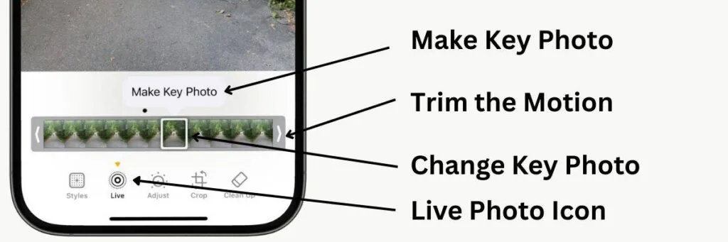 Bottom of an iPhone screen with text overlay showing the edit functions, Make Key Photo, Trim the Motion, Change Key Photo and Live Photo Icon.