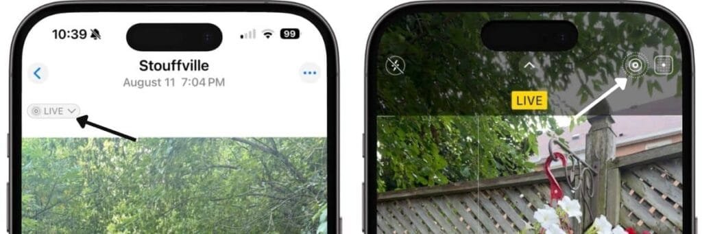 Live Photo Icon The top half of two iPhone screens, one showing the LIVE icon on a photo, the 2nd is showing the LIVE icon on the camera screen.