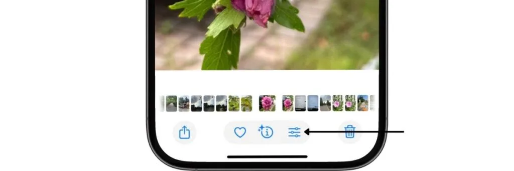 The bottom half of an iPhone screen showing displaying a photo and where to find the slide bar icon.