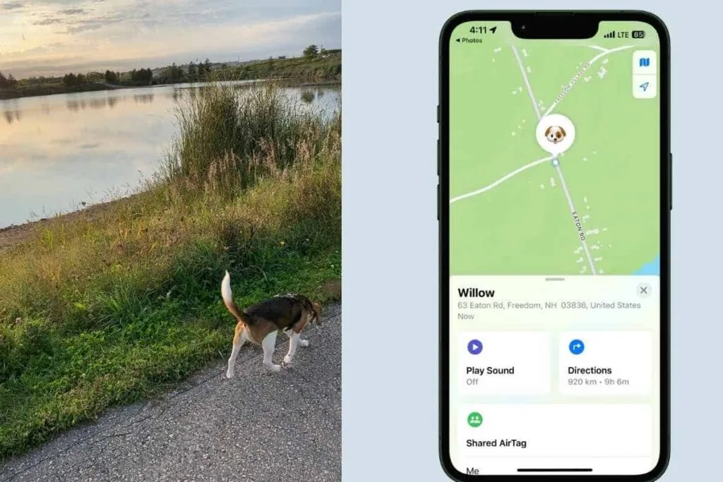Use an AirTag to Find Your Pet An image of a dog walking alone along a pond and beside the image is an image of an iPhone screen displaying the Find My app showing a dogs location as example of how to use an AirTag to find your dog.