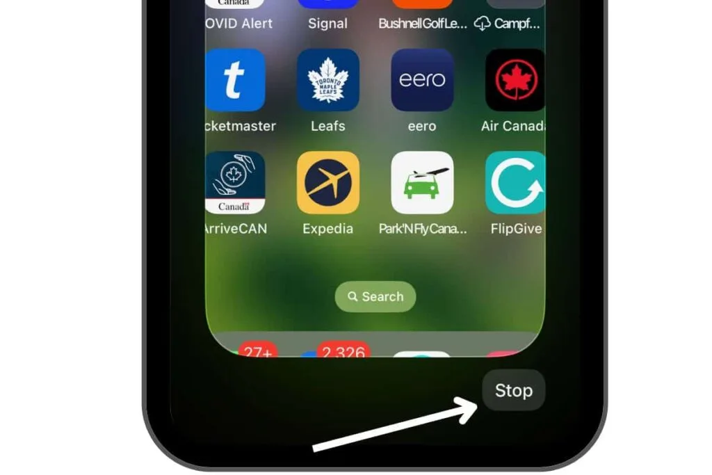 iPhone screen in the FaceTime App with an arrow showing the Stop button for Remote Screen Control