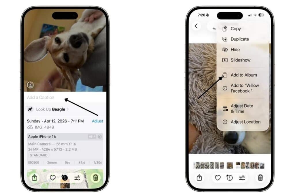 An iPhone screens showing a photo with an arrow pointing to Add a Caption. Second iPhone screen with an arrow pointing to Add to Album