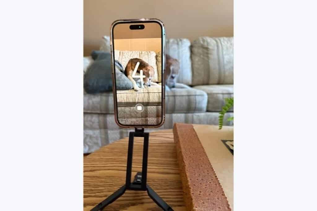 Tripod when using the timer (1) iPhone on an Tripod taking a picture of a dog on a couch using the Timer feature.